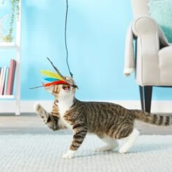 Pet Fit For Life 3 Piece Retractable Feather Wand Cat Toy 10 Pet Fit For Life 3 Piece Retractable Feather Wand Cat Toy -Kong Sales 123831 PT2. AC SS1800 V1554126548
