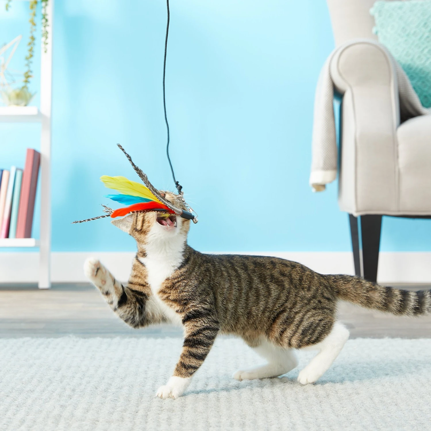 Pet Fit For Life 3 Piece Retractable Feather Wand Cat Toy 3 Pet Fit For Life 3 Piece Retractable Feather Wand Cat Toy - Image 3