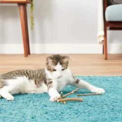 CatTwig Silver Vine Stick Cat Chew Toy 10 CatTwig Silver Vine Stick Cat Chew Toy -Kong Sales 125648 PT3. AC SS1800 V1554126585