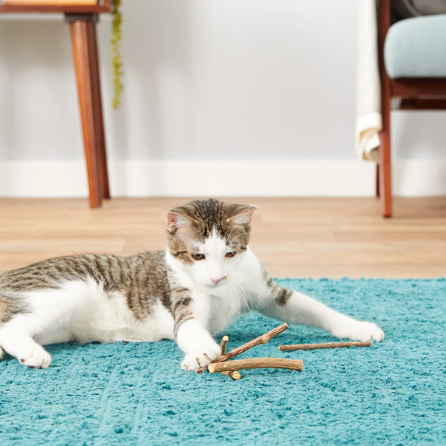 CatTwig Silver Vine Stick Cat Chew Toy 4 CatTwig Silver Vine Stick Cat Chew Toy - Image 4