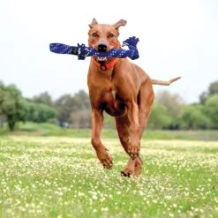 ROGZ By KONG Scrubz Dog Toy 8 ROGZ By KONG Scrubz Dog Toy -Kong Sales 129714 PT2. AC SS1800 V1545249178