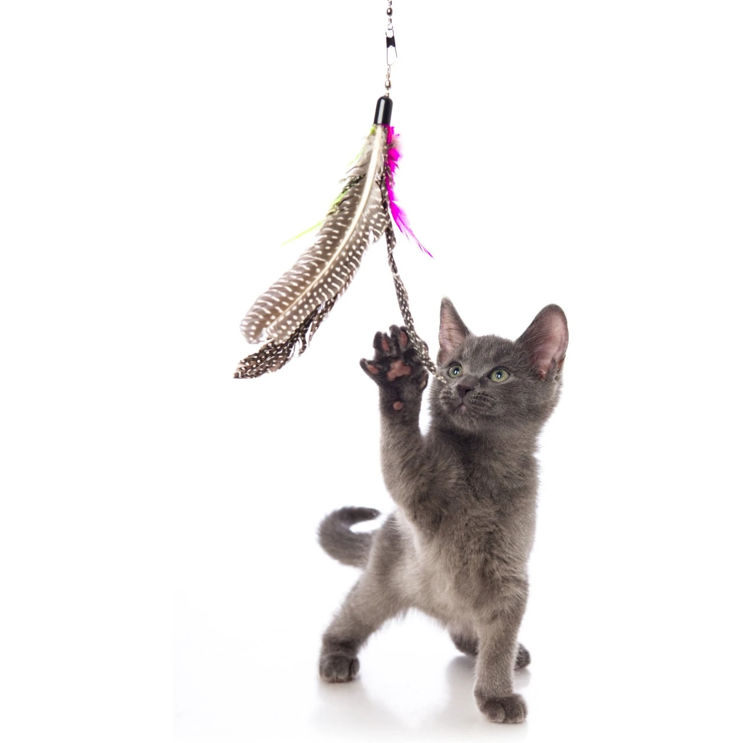 Hartz Just For Cats Kitty Caster Cat Wand Toy With Catnip, Color Varies 5 Hartz Just For Cats Kitty Caster Cat Wand Toy With Catnip, Color Varies - Image 5