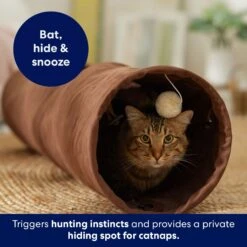 Frisco 35-in Foldable Crinkle Play Tunnel With 1 Window -Kong Sales 140166 PT3. AC SS1800 V1695670685