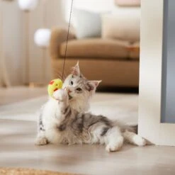 Ethical Pet A-Door-Able Bouncing Bird With Feather Tail Cat Toy With Catnip, Color Varies -Kong Sales 152172 PT4. AC SS1800 V1682711113
