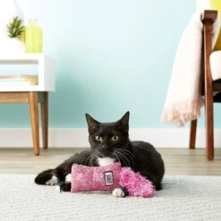 KONG Kickeroo Kitten Toy, Color Varies 9 KONG Kickeroo Kitten Toy, Color Varies -Kong Sales 154026 PT3. AC SS1800 V1605343918