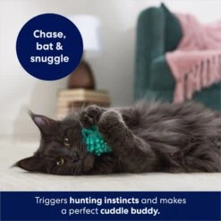 Frisco Moppy Ball Cat Toy With Catnip -Kong Sales 161280 PT3. AC SS1800 V1686580106