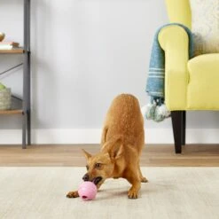 KONG Stuffable Puppy Ball Dog Toy, Color Varies 6 KONG Stuffable Puppy Ball Dog Toy, Color Varies -Kong Sales 161849 PT3. AC SS1800 V1603145801