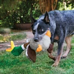KONG Shakers Honkers Duck Dog Toy 6 KONG Shakers Honkers Duck Dog Toy -Kong Sales 161854 PT2. AC SS1800 V1552941139