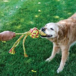 KONG Wubba Weaves With Rope Dog Toy, Color Varies -Kong Sales 161873 PT2. AC SS1800 V1552941190