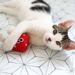 Mad Cat Magic Meowshroom Catnip & Silvervine Cat Toy -Kong Sales 181804 PT3. AC SS1800 V1634833934