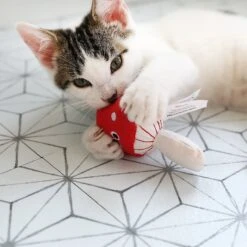 Mad Cat Magic Meowshroom Catnip & Silvervine Cat Toy -Kong Sales 181804 PT4. AC SS1800 V1634833946