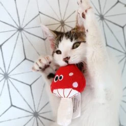 Mad Cat Magic Meowshroom Catnip & Silvervine Cat Toy -Kong Sales 181804 PT5. AC SS1800 V1634833879