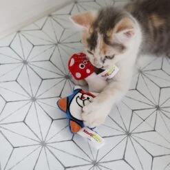 Mad Cat Gnome Sweet Gnome Catnip & Silvervine Cat Toy 11 Mad Cat Gnome Sweet Gnome Catnip & Silvervine Cat Toy -Kong Sales 181818 PT4. AC SS1800 V1634833911