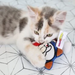 Mad Cat Gnome Sweet Gnome Catnip & Silvervine Cat Toy 12 Mad Cat Gnome Sweet Gnome Catnip & Silvervine Cat Toy -Kong Sales 181818 PT5. AC SS1800 V1634833922