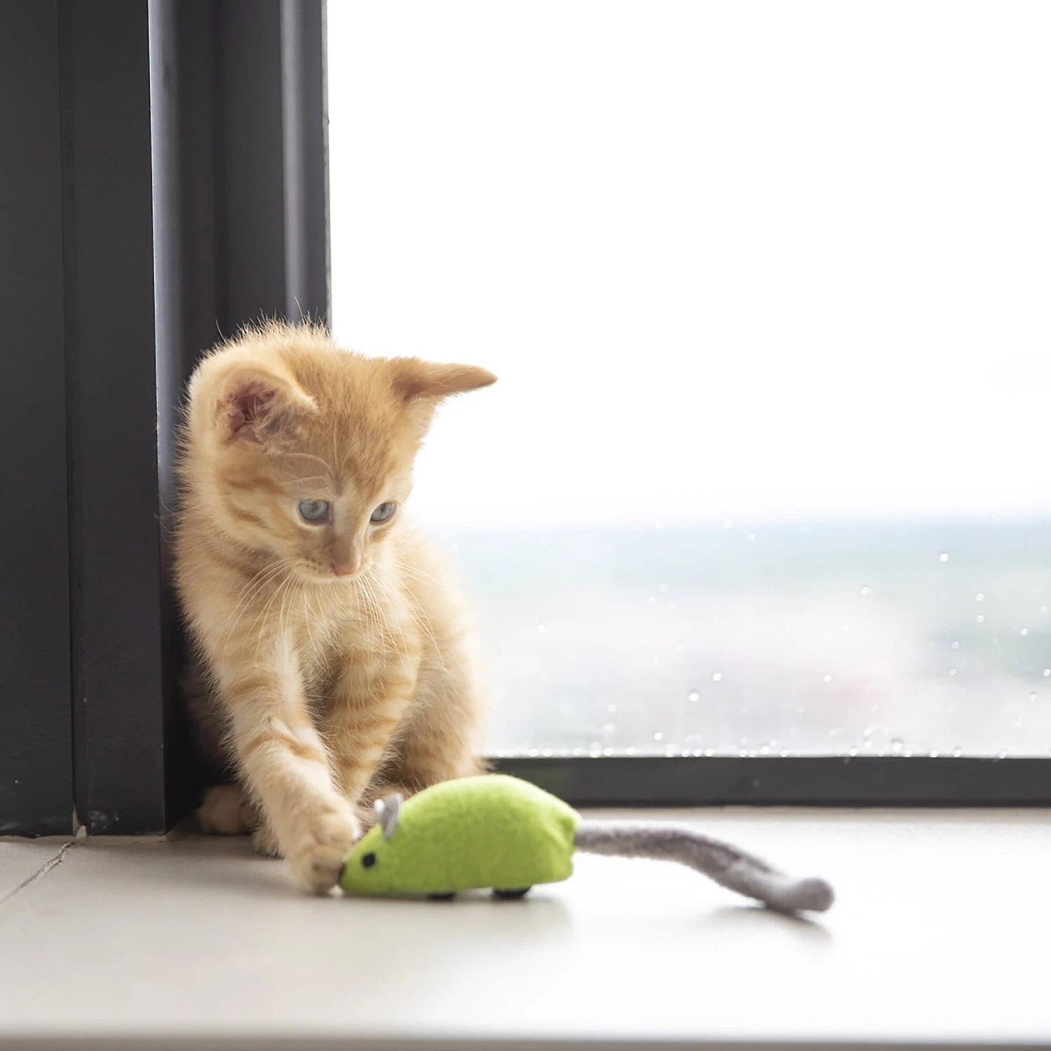 JW Pet Cat Zippy Mouse Cat Toy 3 JW Pet Cat Zippy Mouse Cat Toy - Image 3