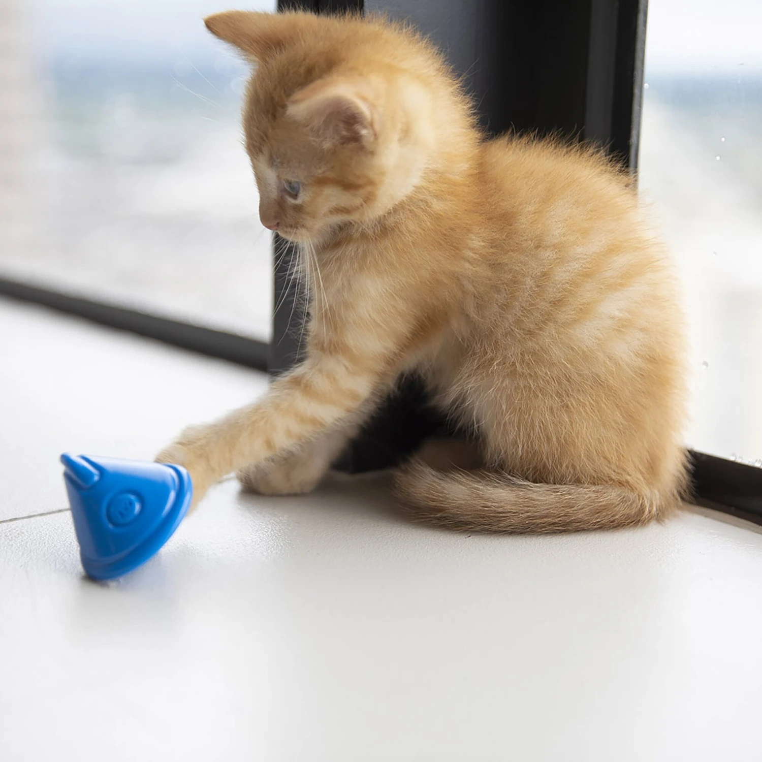 JW Pet Tumbler Cat Toy 3 JW Pet Tumbler Cat Toy - Image 3