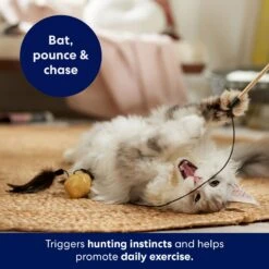 Frisco Sparkle Ball Teaser Wand Cat Toy With Catnip -Kong Sales 183254 PT3. AC SS1800 V1695241915