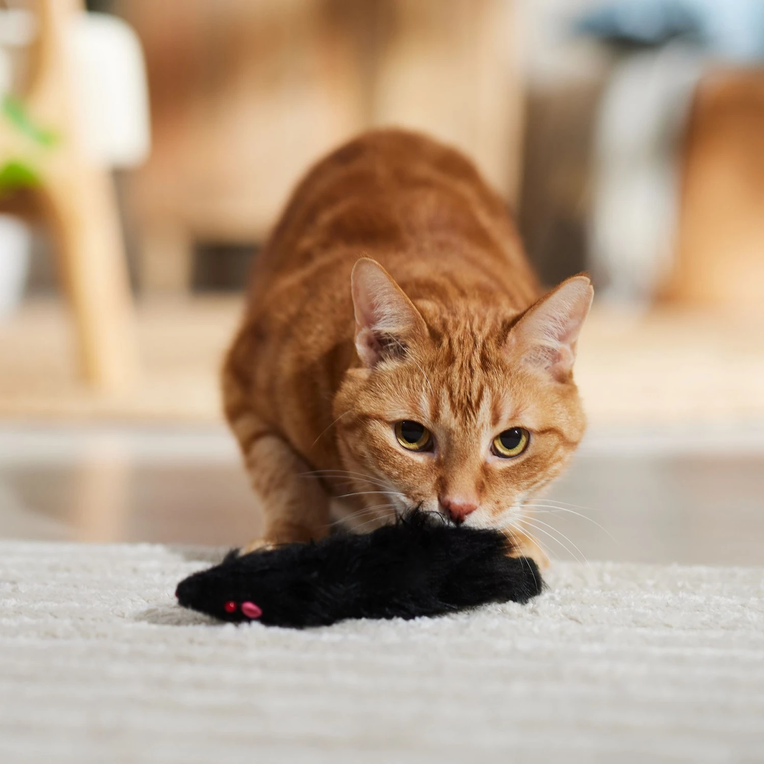 Ethical Pet 5-in Noisy Ferret Plush Cat Toy With Catnip 3 Ethical Pet 5-in Noisy Ferret Plush Cat Toy With Catnip - Image 3