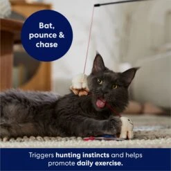 Frisco Zoomies & Chill Popcorn Teaser Wand Cat Toy With Catnip 8 Frisco Zoomies & Chill Popcorn Teaser Wand Cat Toy With Catnip -Kong Sales 241713 PT5. AC SS1800 V1691785246