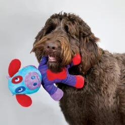 KONG Switcheroos Assorted Dog Toy, Large -Kong Sales 250961 PT2. AC SS1800 V1600463517