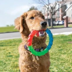 KONG Twistz Ring Dog Toy -Kong Sales 250968 PT2. AC SS1800 V1631769824