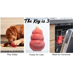 KONG Classic Dog Toy & KONG Stuff'N Easy Treat Peanut Butter Recipe -Kong Sales 255669 PT2. AC SS1800 V1604060500