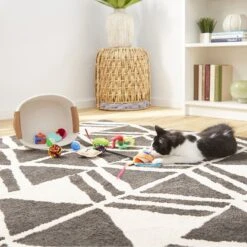 Goody Box Kitten Toys & Treats -Kong Sales 258991 PT4. AC SS1800 V1657656402