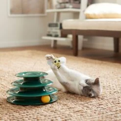 Goody Box Kitten Toys & Treats -Kong Sales 258991 PT5. AC SS1800 V1657656402