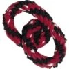 KONG Signature Double Ring Tug Rope Dog Toy