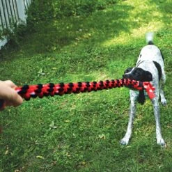 KONG Signature Mega Dual Knot Tug Rope Dog Toy 6 KONG Signature Mega Dual Knot Tug Rope Dog Toy -Kong Sales 262996 PT2. AC SS1800 V1611091363