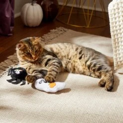 Frisco Halloween Spider & Ghost Plush Cat Toy With Catnip, 2 Count -Kong Sales 270315 PT3. AC SS1800 V1624817028