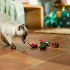 Frisco Holiday Mice Cat Toy With Catnip, 5 Count -Kong Sales 287307 PT3. AC SS1800 V1632773326