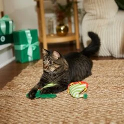 Frisco Holiday Elf Legs & Hat Plush Cat Toy With Catnip, 2 Count 5 Frisco Holiday Elf Legs & Hat Plush Cat Toy With Catnip, 2 Count -Kong Sales 287365 PT3. AC SS1800 V1632776685