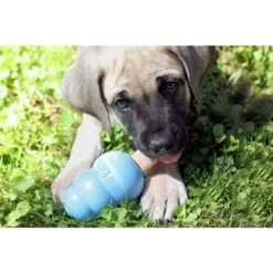 KONG Puppy Activity Ball Dog Toy, Color Varies & KONG Stuff'N Puppy Ziggies Dog Treats -Kong Sales 298188 PT8. AC SS1800 V1621303337