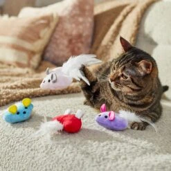 Frisco Valentine Heart Mice Plush Cat Toy With Catnip 6 Frisco Valentine Heart Mice Plush Cat Toy With Catnip -Kong Sales 298954 PT3. AC SS1800 V1701364814