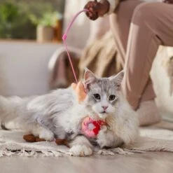 Disney Mickey & Minnie Mouse Donut Teaser Cat Toy With Catnip -Kong Sales 299005 PT3. AC SS1800 V1701364869