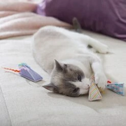 Frisco Spring Party Hat Kickers Cat Toy With Catnip -Kong Sales 306960 PT3. AC SS1800 V1703184746