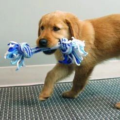 KONG Rope Stick Puppy Toy 7 KONG Rope Stick Puppy Toy -Kong Sales 310288 PT2. AC SS1800 V1627595572