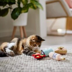 Frisco Mother's Day Gifts Plush Cat Toy With Catnip, 3 Count 5 Frisco Mother's Day Gifts Plush Cat Toy With Catnip, 3 Count -Kong Sales 327027 PT3. AC SS1800 V1646948055