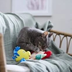 Disney Princess Ariel Plush Cat Toy With Catnip, 2 Count 5 Disney Princess Ariel Plush Cat Toy With Catnip, 2 Count -Kong Sales 328712 PT3. AC SS1800 V1657656888