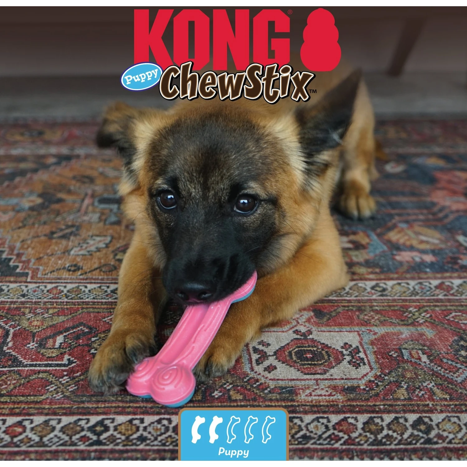 KONG ChewStix Puppy Curve Bone, Pink/Blue 5 KONG ChewStix Puppy Curve Bone, Pink/Blue - Image 5