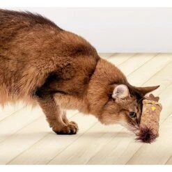 Litterbox.com Cork Chicken Cat Toy 5 Litterbox.com Cork Chicken Cat Toy -Kong Sales 334220 PT2. AC SS1800 V1648614384