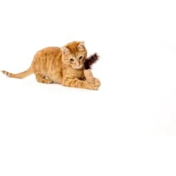 Litterbox.com Cork Panda Cat Toy -Kong Sales 334228 PT3. AC SS1800 V1648506394