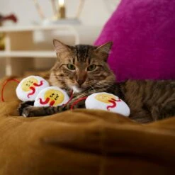 Frisco Halloween Haunted Deviled Eggs Plush Cat Toy With Catnip 6 Frisco Halloween Haunted Deviled Eggs Plush Cat Toy With Catnip -Kong Sales 344058 PT3. AC SS1800 V1657657030