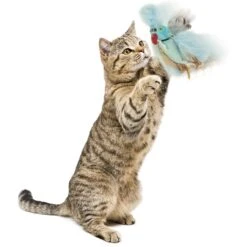 Petlinks Blue Beauty Lush Plush Catnip & Silvervine Bird & Feather Cat Toy, Blue, Small -Kong Sales 362890 PT3. AC SS1800 V1642632423