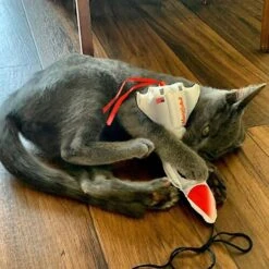 Meowijuana Get Blasted Rocket Wand Refillable Cat Toy With Catnip 7 Meowijuana Get Blasted Rocket Wand Refillable Cat Toy With Catnip -Kong Sales 363606 PT2. AC SS1800 V1643906482