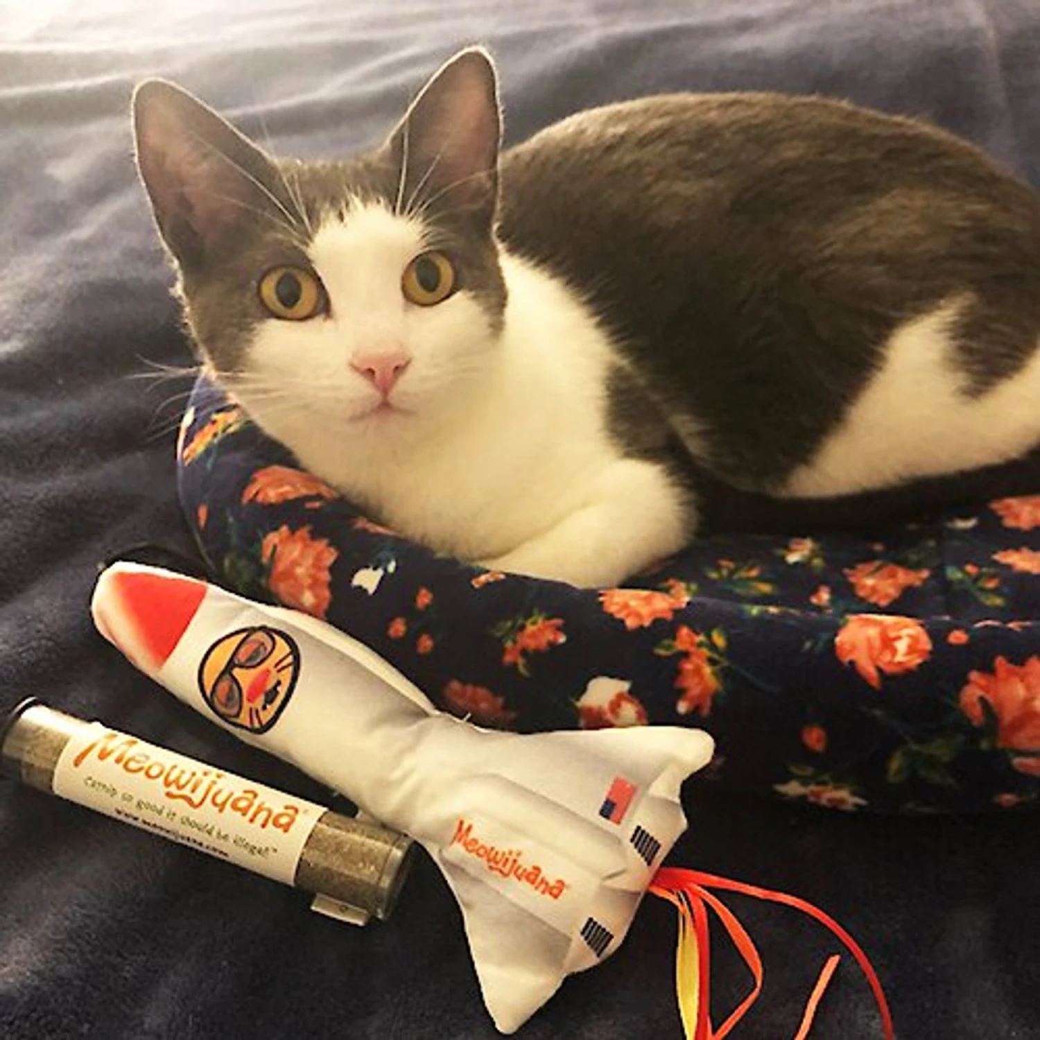Meowijuana Get Blasted Rocket Wand Refillable Cat Toy With Catnip 4 Meowijuana Get Blasted Rocket Wand Refillable Cat Toy With Catnip - Image 4