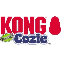 KONG Cozie Tuggz Frog Dog Toy -Kong Sales 370856 PT3. AC SS1800 V1647381984