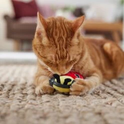 Frisco Valentine Jammin' Ladybug Plush Cat Toy With Catnip 8 Frisco Valentine Jammin' Ladybug Plush Cat Toy With Catnip -Kong Sales 371081 PT3. AC SS1800 V1668736252