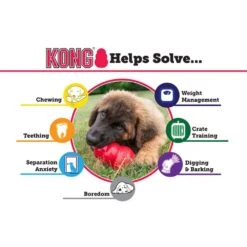 KONG Senior Kong Dog Toy 9 KONG Senior Kong Dog Toy -Kong Sales 41120 1568306238